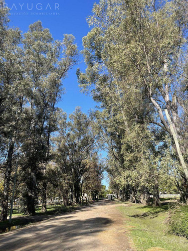Imagen 22 de 23 de Venta | Club De Campo San Diego | Bayugar Negocios Inmobiliarios