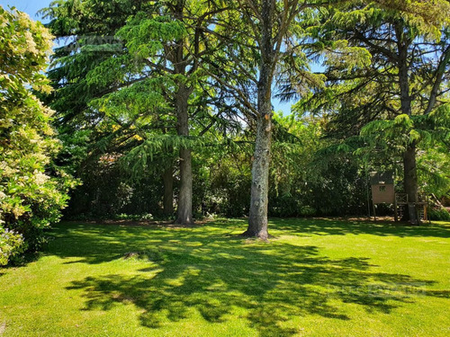 Imagen 18 de 26 de Excelente Lote-terreno Arbolado En Venta - San Isidro - Las Lomas