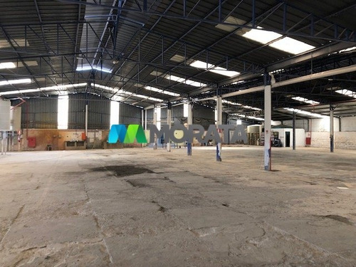 Imagem 2 de 15 de Galpao - Distrito Industrial (vale Do Jatoba) - Ref: 2812 - L-mta2812