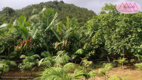 Imagem 15 de 15 de Sítio / Chácara Para Venda Em Peruíbe, Plantação Com Certificação Orgânica Para O Brasil E Para A Europa., 1 Dormitório, 1 Suíte, 3 Banheiros, 4 Vagas - 0834_2021_2-1217732