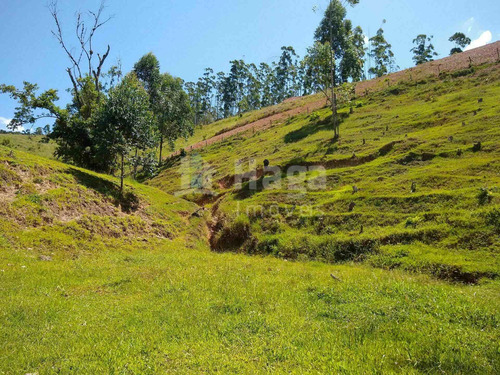 Imagem 3 de 16 de Terreno À Venda No Bairro Salto Águas Negras - Botuverá/sc - 2200t