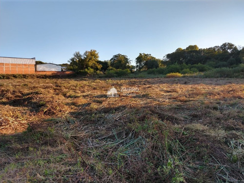 Imagem 3 de 16 de Ótimo Terreno Para Condomínio Fechado Ou Pavilhões Comerciais. - 987691