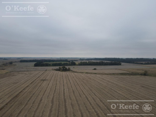 Imagen 2 de 29 de Chacra Agricola En Venta 32 Has- San Pedro