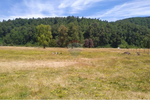 Tu Refugio Natural En Valdivia 26000 M² De Ensueño