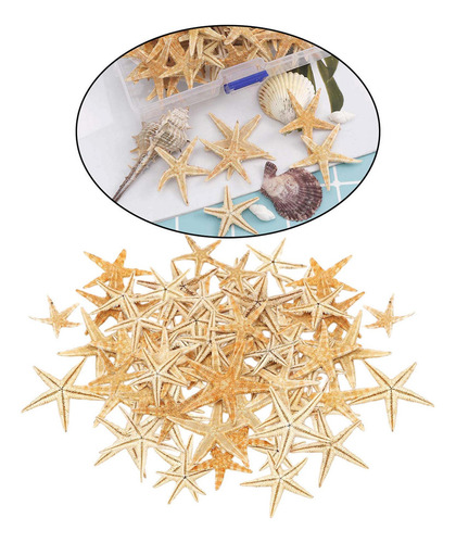 Decoración De Estrella De Mar Natural Para 1-5cm 100 Piezas