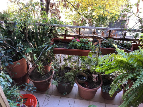 Imagen 8 de 30 de Piso Unico 3 Amb Con Balcon