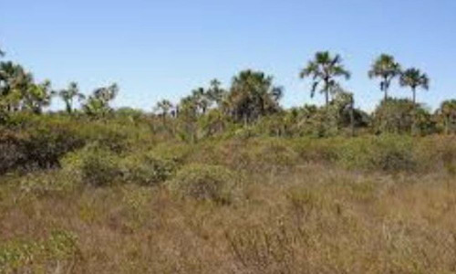 Imagem 5 de 6 de Fazenda Em Novo Acordo - 2730
