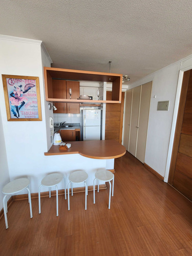 Arriendo Bellas Artes Con Ggcc Incluidos (79580)