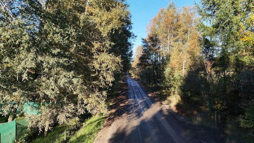 Campo En Venta Inversionista Pitrufquen (104143)