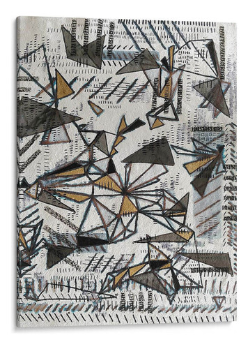 Canvas Lab Cuadro Fracturas De Luz 60x80, Albertus Seba
