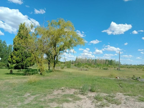 Finca En Venta Con Vivienda