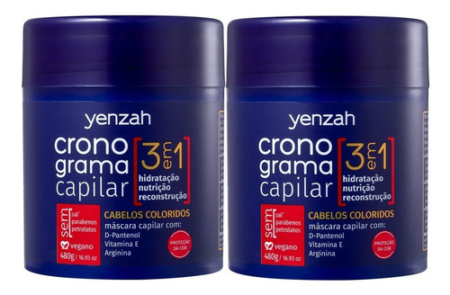 Yenzah Kit Cronograma Capilar Duo Máscara Cabelos Coloridos