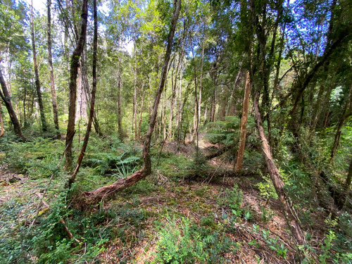 Venta De Parcela En Sendero Tres Puentes (70073)