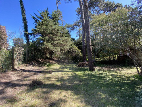Casa - San Rafael