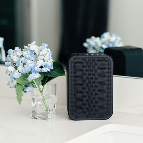 Bluesound Pulse Flex 2i Altavoz Inteligente Portátil Inalámb