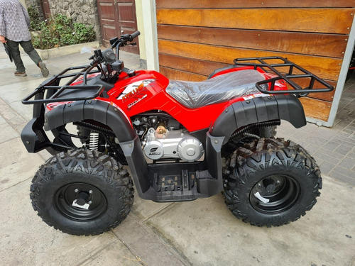 Imagen 16 de 19 de Cuatrimoto Azelli Bull 200cc Automat 0 Klm 2022 Oferta