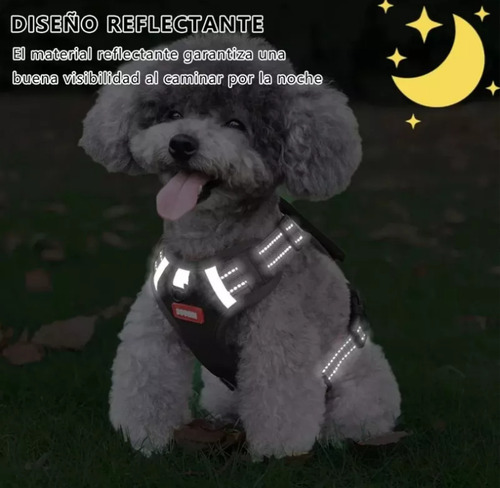 ** Pechera Arnés Transpirable Cómodo Con Correa For Perro