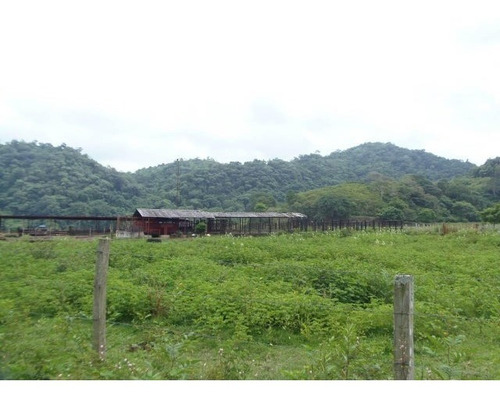 Imagen 13 de 30 de Finca En Venta San Felipe 1500 Ha, #23-14481