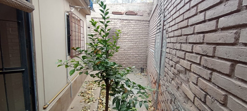 Imagen 13 de 14 de Alquiler Departamento Amoblado Mas Local