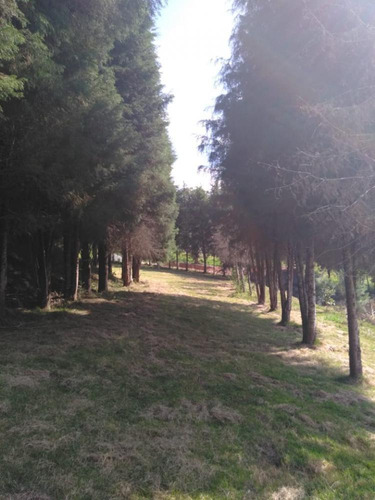 Imagem 4 de 13 de Excelente Oportunidade De Negócios Chácara Com 10.600m² De Terreno E 02 Casas - Bairro Ibiúna De Cima - Ibiúna/sp - Ch684v