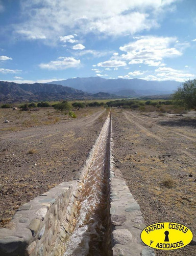 Imagen 13 de 22 de 2054hp-24000 Has Molinos Con Riego
