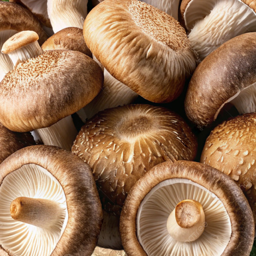 Ganoshiitake 3x1 Cafe Ganoderma Shiitake