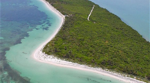 Imagen 5 de 6 de Venta De Terreno Boca Paila, Tulum, Ideal Para Inversionistas Y Desarrolladores