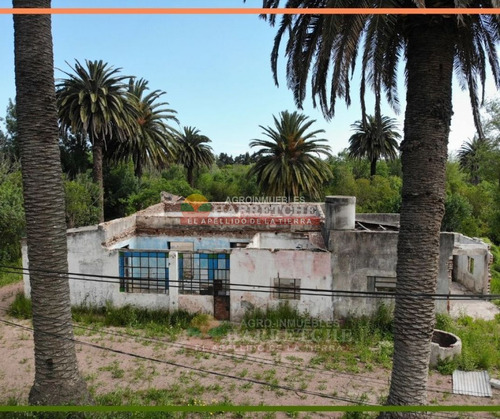 Imagen 21 de 25 de Chacra 3 Has En Melilla, Zona Uam, Cno Polvorin, Construcciones A Reciclar.