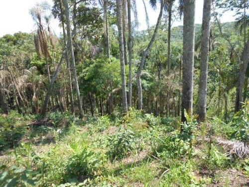 Imagem 24 de 30 de Chácara Com 1 Dormitório À Venda, 21000 M² Por R$ 1.500.000,00 - Parque Rodrigo Barreto - Arujá/sp - Ch0012