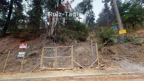 Imagen 11 de 13 de Venta De Maravilloso Terreno En Zapallar, Diego Sutil