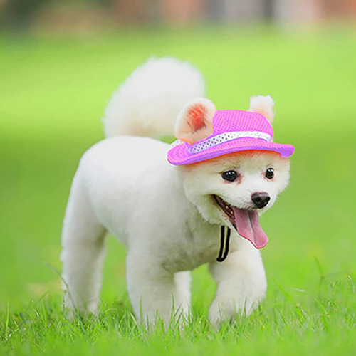 Sombrero For Perro Sombreros For Mascotas Sombrero Redondo