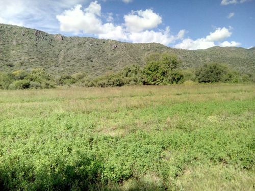 Dueño Directo Vende Campo 78 Hcts San Luis Norte, Al Pie De Las Sierras Altas, Paraje La Majada, Bosque , Acequias, Sierras, Belleza Y Pureza......