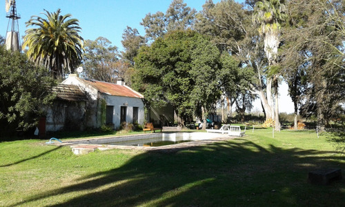Imagen 19 de 20 de Casa Quinta - Única - En Gualeguay