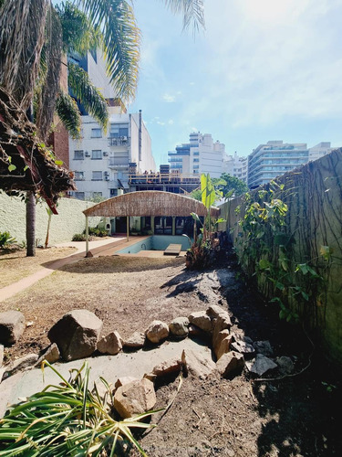 Espectacular Casa En El Corazon De Punta Carretas