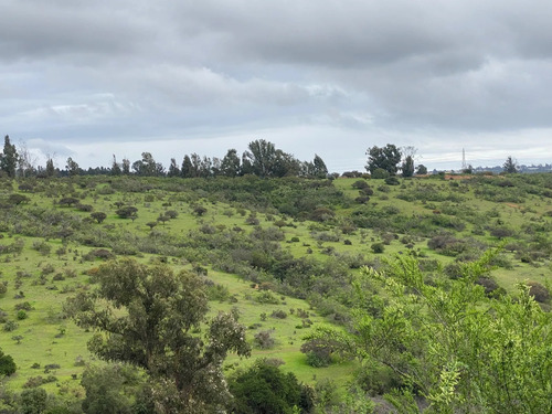 Vendo Hermosa Parcela Fuerte Aguayo Concón