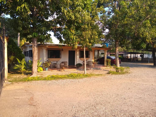 Imagen 7 de 26 de Finca En Apartadero - Cojedes
