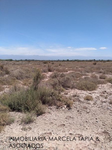 Venta Lote En Lavalle Mendoza