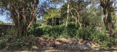 Imagem 3 de 7 de Amplo Terreno De Chácara Lado Serra, Itanhaém- Umuarama 8704