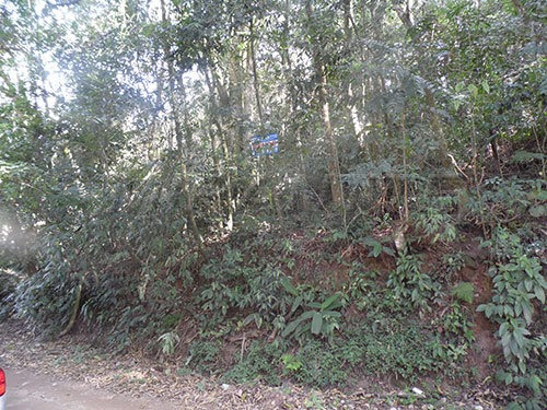 Imagem 4 de 4 de Terreno Em Serra Da Cantareira - São Paulo, Sp - 142435