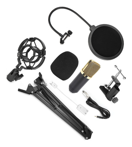 Kit De Micrófono De Grabación Profesional, Paquete De Micróf