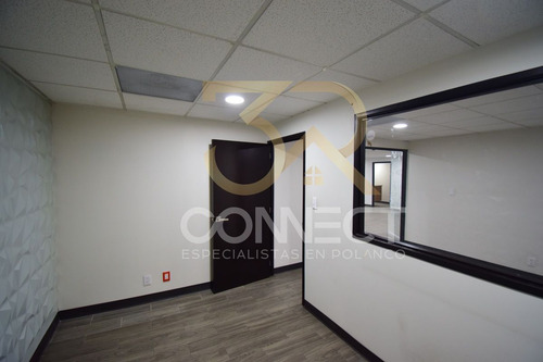Oficina En Renta En Anzures - 24c/3b/1e - Excelente Ubicación - 870m2