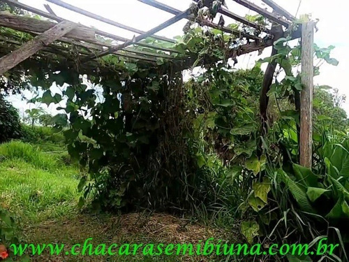 Chacara - 2569 - 68908554