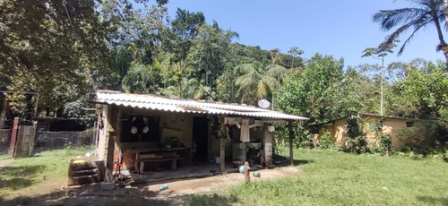 Imagem 12 de 18 de Miracatu /bela Chácara Plana C/riacho/só R$ 90 Mil/oportunidade/ref:05367