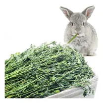 Comprar Heno Alfalfa Seco Para Conejos Por 2 Kilos.