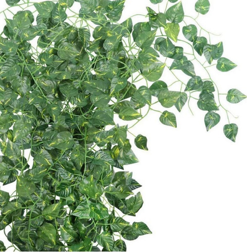 Imagen 3 de 6 de Enredadera Hiedra Artificial Pack X12 Vertical Muro Potus