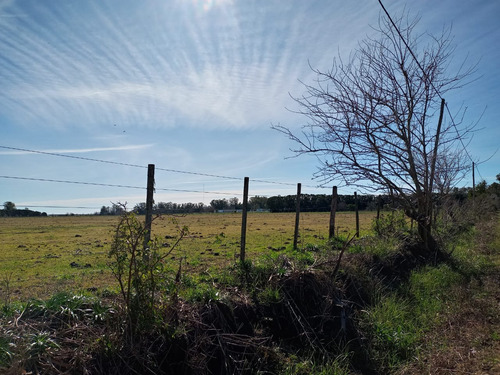 Campo 4 Hectareas El Candil San Andres De Giles Financia
