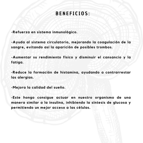 Hongo Reishi En Polvo, Elaborado De Manera Orgánica