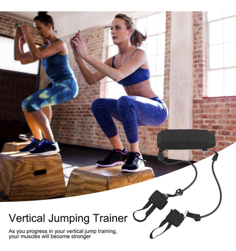 Entrenador De Salto Vertical Bandas Resistentes Al Salto Zap