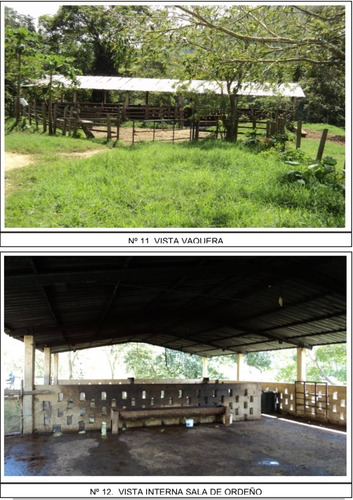 Venta De Finca Ganadera De 1000 Hectareas, Facil Acceso En Nirgua Yaracuy (salom)2