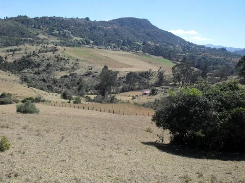Lote En Venta En La Calera. Cod V1614270